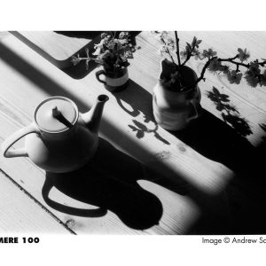 Alternative view of Kentmere Pan 100 135/36
