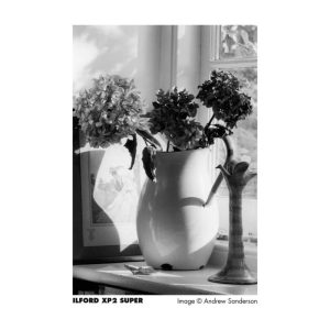 Alternative view of Ilford XP2 Super 400 135/36